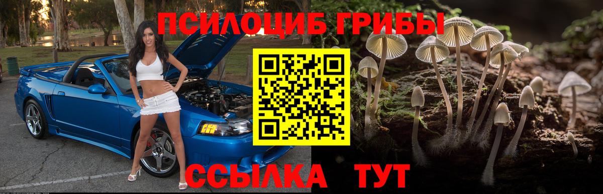 Галлюциногенные грибы ЛСД  как найти   Артёмовский  Вход с VPN 